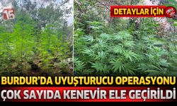 Burdur'da Narkotik Operasyonu: Çok Sayıda Kenevir Ele Geçirildi, 1 Tutuklama!