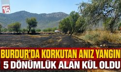 Burdur’da Korkutan Yangın: 5 Dönümlük Alan Kül Oldu