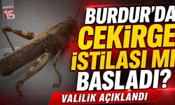 Burdur’da Çekirge İstilası Mı Başladı? Valilik Açıklandı