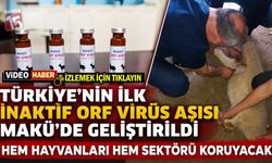 Türkiye’nin İlk İnaktif Orf Virüs Aşısı MAKÜ’de Geliştirildi