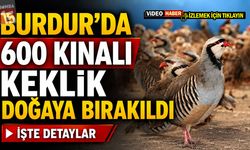 Burdur’da 600 Kınalı Keklik Doğaya Bırakıldı