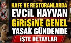Kafe ve Restoranlarda Evcil Hayvan Girişine Genel Yasak Gündemde