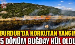 Burdur'da Korkutan Yangın: 5 Dönüm Buğday Kül Oldu