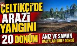 Çeltikçi’de Arazi Yangını: 20 Dönüm Anız ve Saman Balyaları Küle Döndü