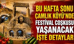 Bu Hafta Sonu Çamlık Köyü’nde Festival Coşkusu Yaşanacak