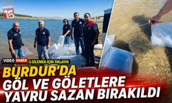 Burdur’da Göl ve Göletlere Yavru Sazan Bırakıldı