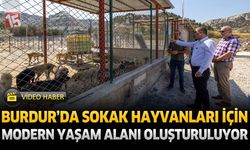 Burdur’da Sokak Hayvanları İçin Modern Yaşam Alanı Oluşturuluyor