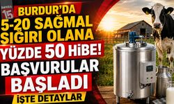 Burdur'da 5-20 Sağmal Sığırı Olana Yüzde 50 Hibe! Başvurular Başladı İşte Detaylar