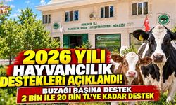 2026 yılı hayvancılık destekleri açıklandı. Buzağı başına destek 20 Bin TL'ye kadar çıkabiliyor
