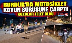 Burdur’da Motosiklet Koyun Sürüsüne Çarptı: Kuzular Telef Oldu