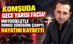 Komşuda Feci Kaza! Domuz Sürüsüne Çarpan Motosikletli Hayatını Kaybetti