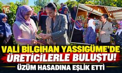 Vali Bilgihan Yassıgüme’de Üreticilerle Buluştu! Üzüm Hasadına Eşlik Etti