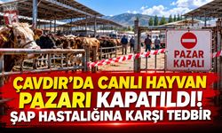 Çavdır’da Canlı Hayvan Pazarı Kapatıldı! Şap Hastalığına Karşı Tedbir