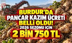 Burdur’da Pancar Kazım Ücreti Belli Oldu! 2026 Sezonu İçin 2 Bin 750 TL