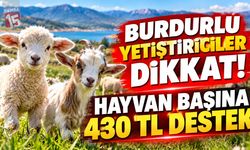 Burdurlu Yetiştiriciler Dikkat! Hayvan Başına 430 TL Destek