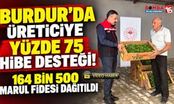 Burdur’da Üreticiye Yüzde 75 Hibe Desteği! 164 Bin 500 Marul Fidesi Dağıtıldı