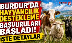 Burdur’da Hayvancılık Destekleme Başvuruları Başladı!
