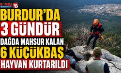 Burdur’da 3 Gündür Dağda Mahsur Kalan 6 Küçükbaş Hayvan Kurtarıldı
