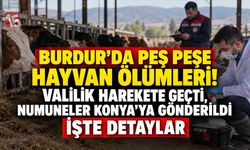 Burdur’da Peş Peşe Hayvan Ölümleri! Valilik Harekete Geçti, Numuneler Konya’ya Gönderildi