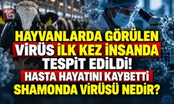 İlk Kez İnsanda Görüldü, Hasta Hayatını Kaybetti! Shamonda Virüsü Nedir, Nasıl Bulaşıyor?
