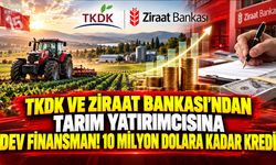 TKDK ve Ziraat Bankası’ndan Tarım Yatırımcısına Dev Finansman! 10 Milyon Dolara Kadar Kredi