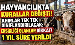 Hayvancılık Yapanlar Dikkat! Ahır ve Çiftlikler İçin Yeni Dönem Başladı