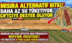 Burdur’da Hem Çiftçiye Destek Hem Suya Tasarruf! 900 Dekarda Alternatif Yem Bitkisi Üretildi