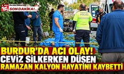 Burdur’da Acı Olay! Ceviz Silkerken Düşen Ramazan Kalyon Hayatını Kaybetti