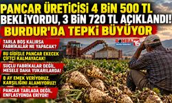 Pancar Üreticisi 4 Bin 500 TL Bekliyordu, 3 Bin 720 TL Açıklandı! Burdur'da Tepki Büyüyor