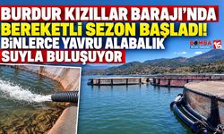 Burdur Kızıllar Barajı’nda Bereketli Sezon Başladı! Binlerce Yavru Alabalık Suyla Buluşuyor