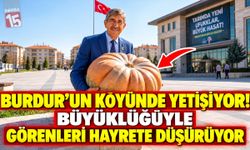 Burdur’un Köyünde Yetişiyor! Büyüklüğüyle Görenleri Hayrete Düşürüyor