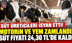 Süt Üreticilerinden Acil Zam Çağrısı! Maliyetler Uçtu, Süt Fiyatı Yerinde Saydı