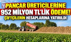 Pancar Üreticilerine 952 Milyon TL'lik Ödeme! Çiftçilerin Hesaplarına Yatırıldı