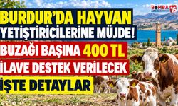 Burdur’da Hayvan Yetiştiricilerine Müjde! Buzağı Başına 400 TL İlave Destek Verilecek