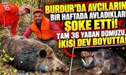 Burdur’da Avcıların Bir Haftada Avladıkları Şoke Etti! Tam 36 Yaban Domuzu, İkisi Dev Boyutta!