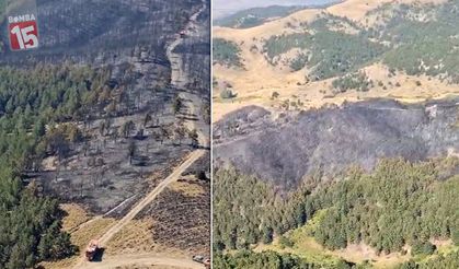 Afyonkarahisar'da çıkan yangında 5 hektar orman yandı