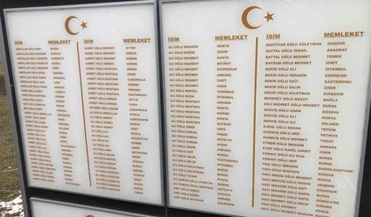 Galiçya Cephesi'nde şehit düşen ecdada büyük vefa