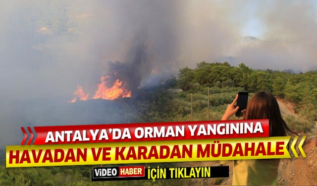 Antalya'da orman yangınına havadan ve karadan müdahale