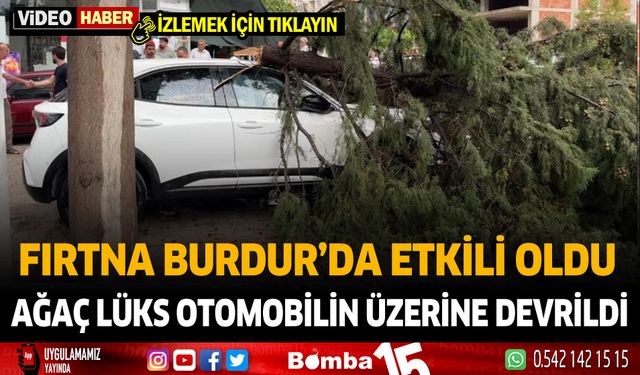 Burdur'da fırtına etkili oldu... Kırılan ağaç otomobilin üzerine devrildi