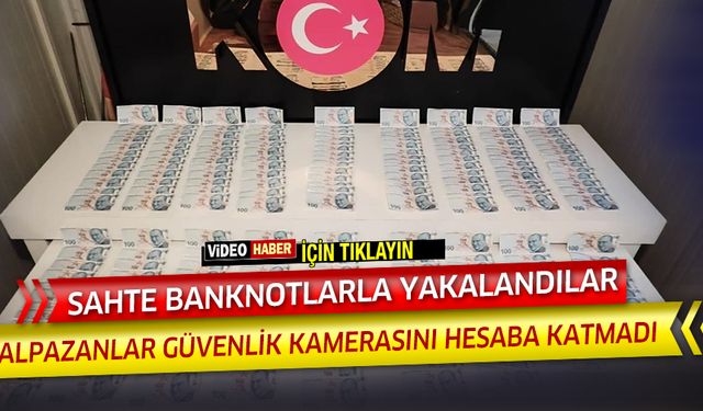 Kalpazanlar güvenlik kamerasını hesaba katmadı