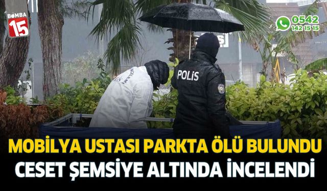 Mobilya ustası parkta ölü bulundu