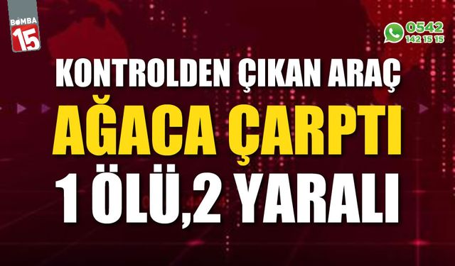 Kontrolden çıkan otomobil ağaca çarptı