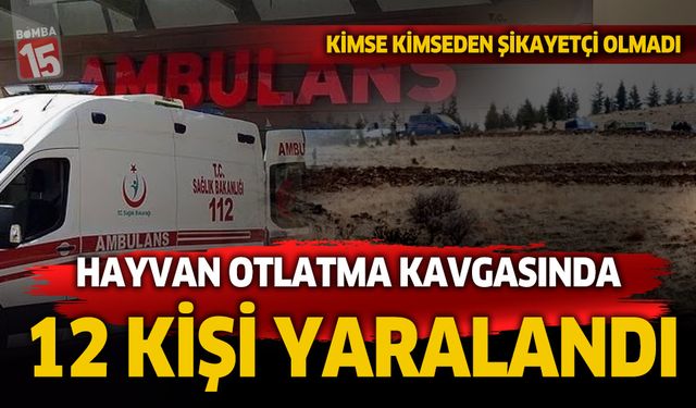Afyonkarahisar'da hayvan otlatma kavgasında 12 kişi yaralandı