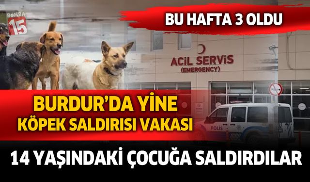 Burdur’da Sokak Köpeği Saldırısı: Aynı Mahallede Bir Haftada Üçüncü Olay