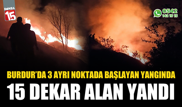 Burdur'da 3 farklı noktada başlayan sazlık yangınında 15 dekar alan yandı