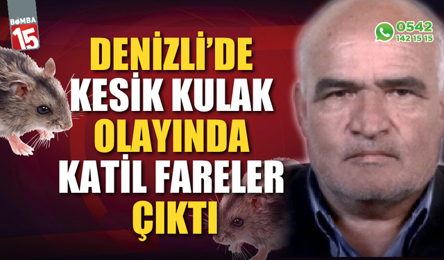 Denizli'de kesik kulak olayında suçlu fareler çıktı