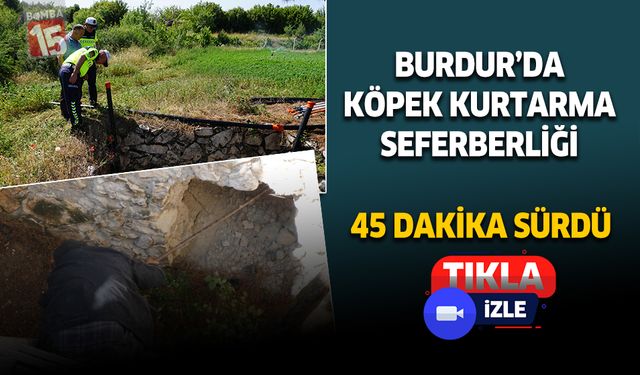 Burdur'da kuyuya düşen köpek için seferber olundu