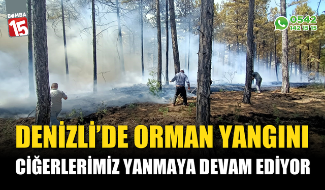 Denizli’de orman yangını, ciğerlerimiz yanıyor