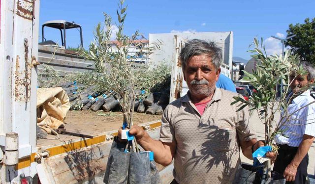 Antalya Büyükşehir Belediyesi’nden fidan desteği