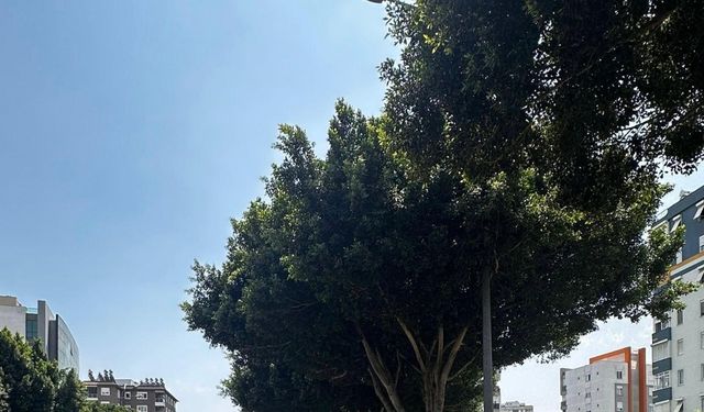 Antalya’da son 1 haftada 16 bin 155 araç ve sürücüsüne ceza kesildi